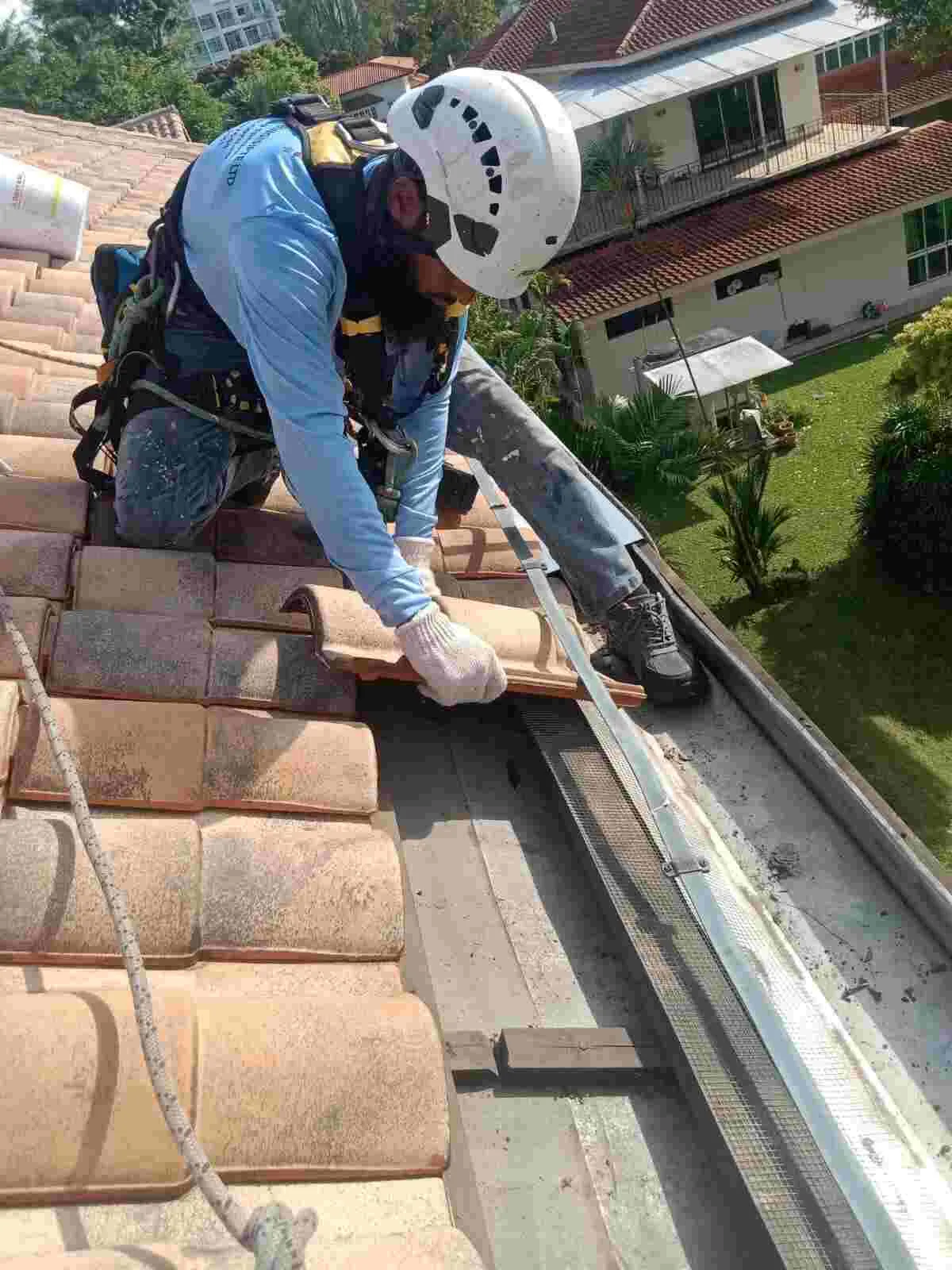 Waterproofing Specialist