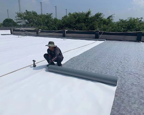 Thermoplastic membrane